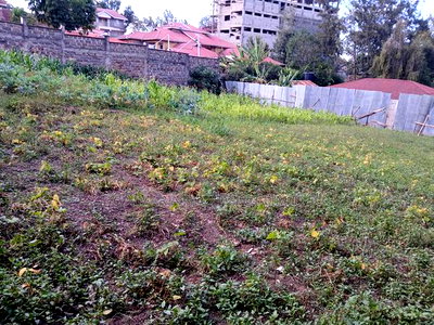 Prime Commercial 100 by 100 Plot in Ngong CBD - Image 1