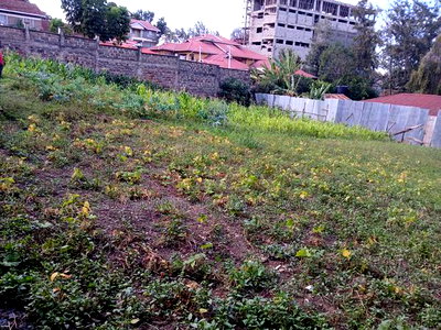 Prime Commercial 100 by 100 Plot in Ngong CBD - Image 3