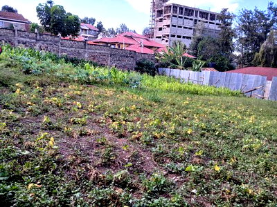 Prime Commercial 100 by 100 Plot in Ngong CBD - Image 4