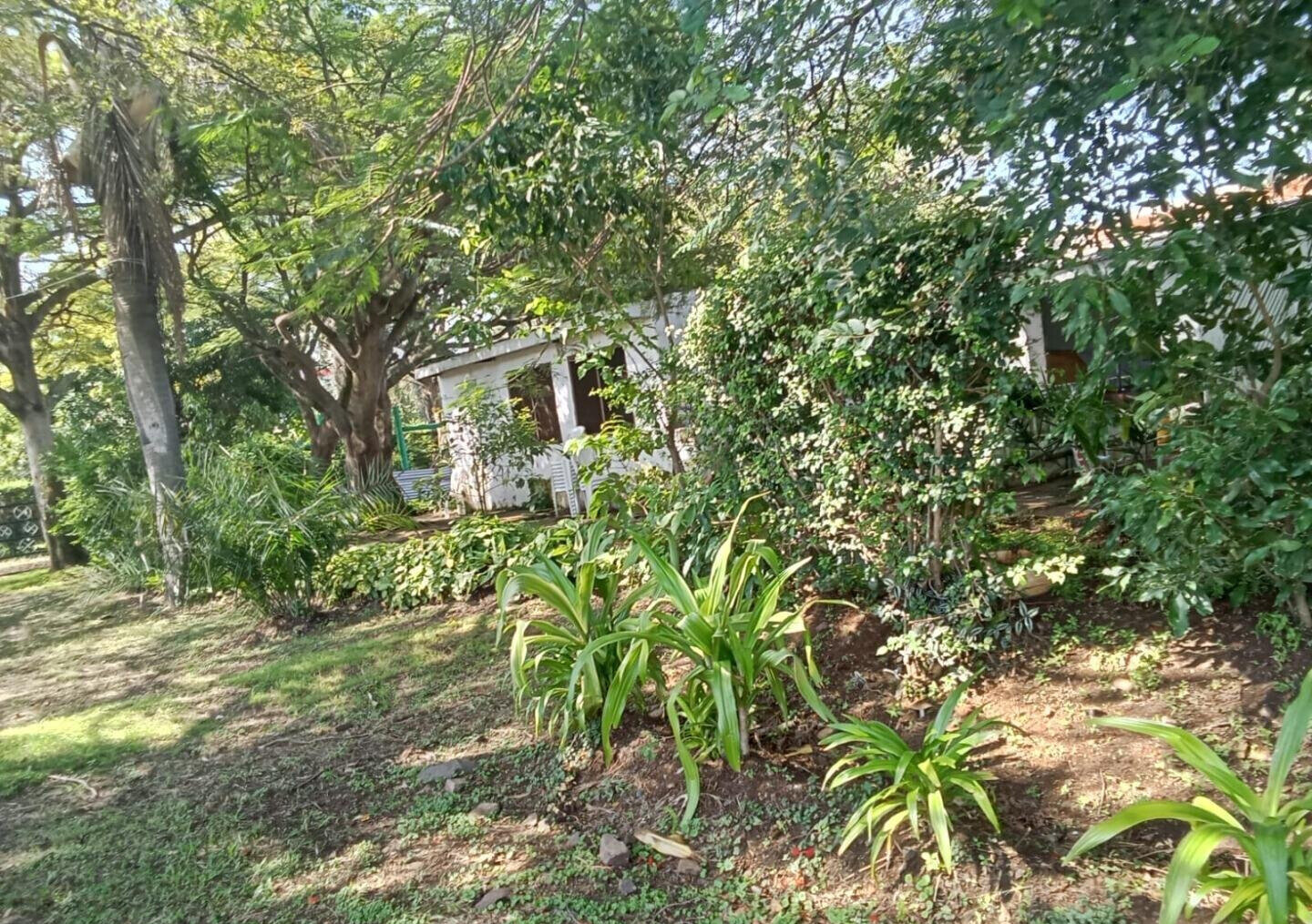 2-Acre Lakefront Property for Sale