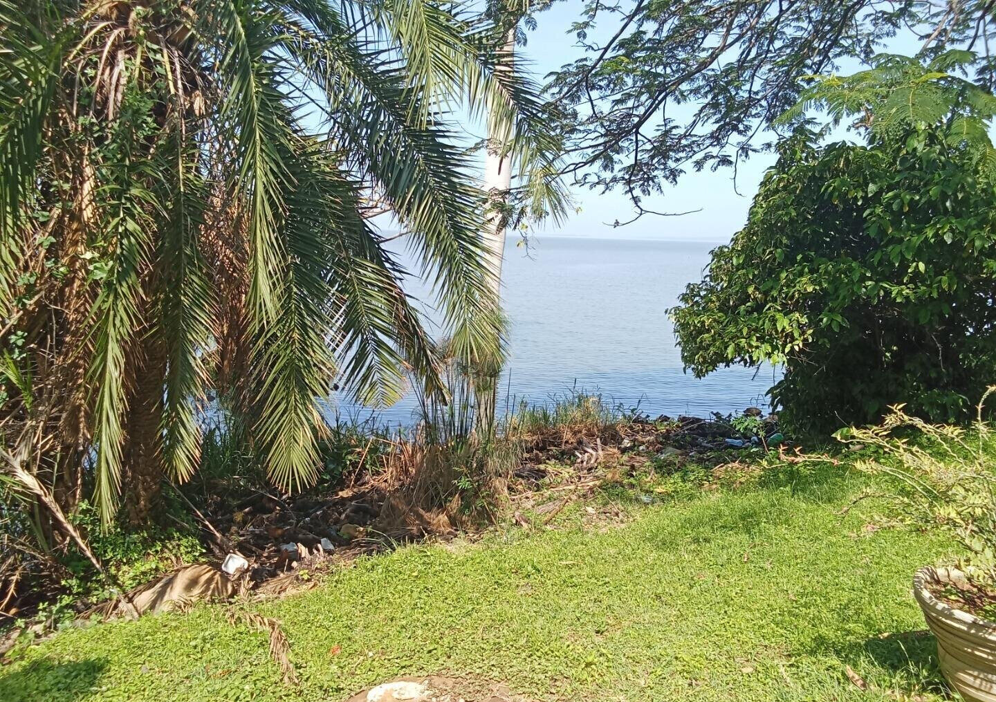 2-Acre Lakefront Property for Sale