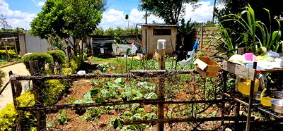 5bdrm Bungalow in Elgonview for sale - Image 3