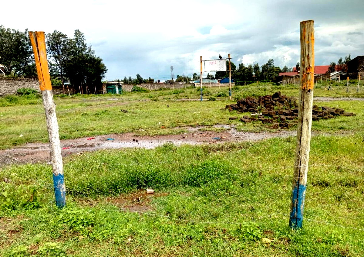 0.3 Acre Garden Plot in Bahati