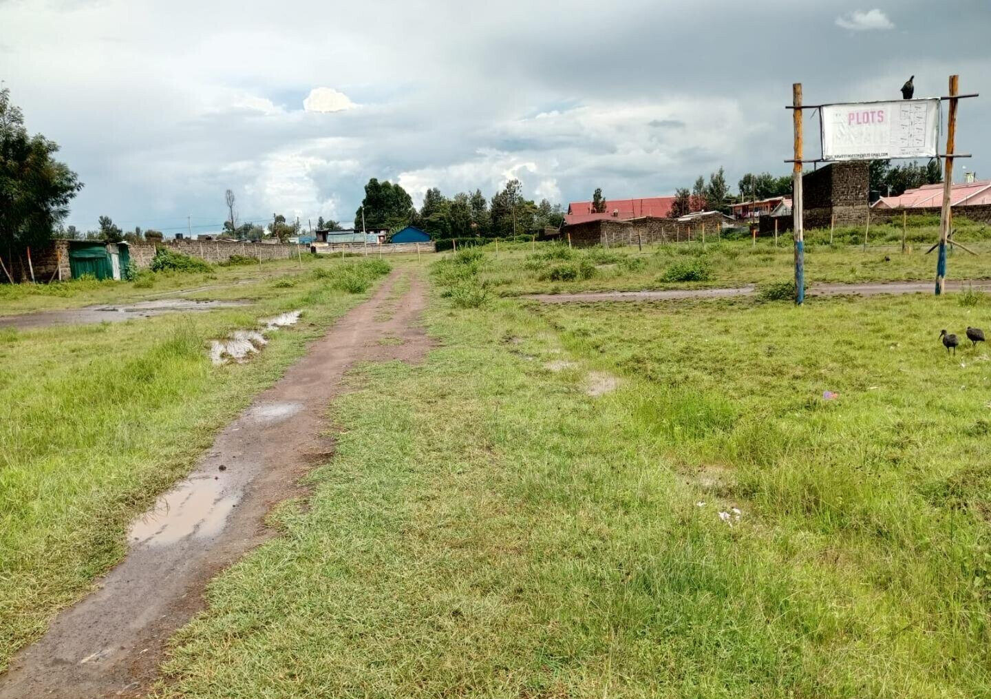0.3 Acre Garden Plot in Bahati
