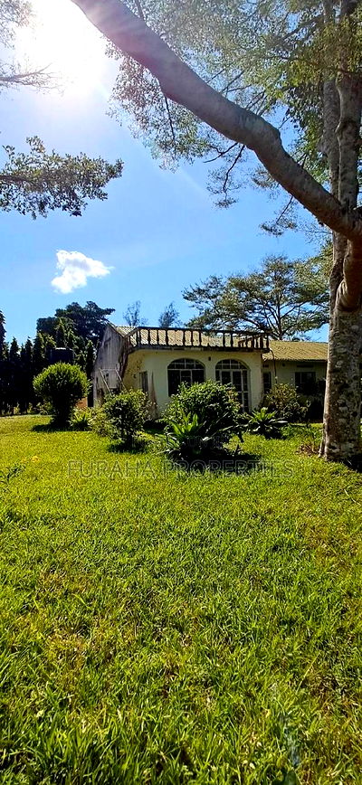 For Sale 10 Acres Agricultural Land - Image 3