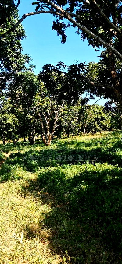 For Sale 10 Acres Agricultural Land - Image 5