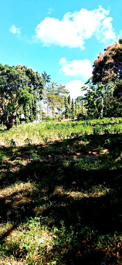 For Sale 10 Acres Agricultural Land - Image 4