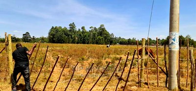 1/4 Plots for Sale in Eldoret Royalton New Tarmac - Image 5