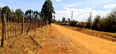 1/4 Plots for Sale in Eldoret Royalton New Tarmac - Image 3