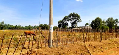 1/4 Plots for Sale in Eldoret Royalton New Tarmac - Image 2