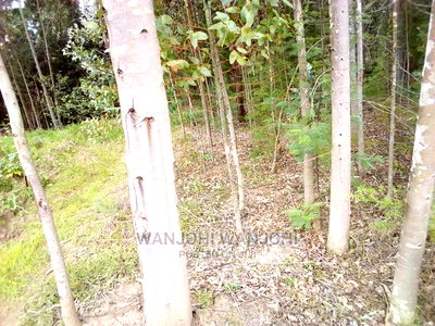 Forested Plot on Quick Sale - Image 3