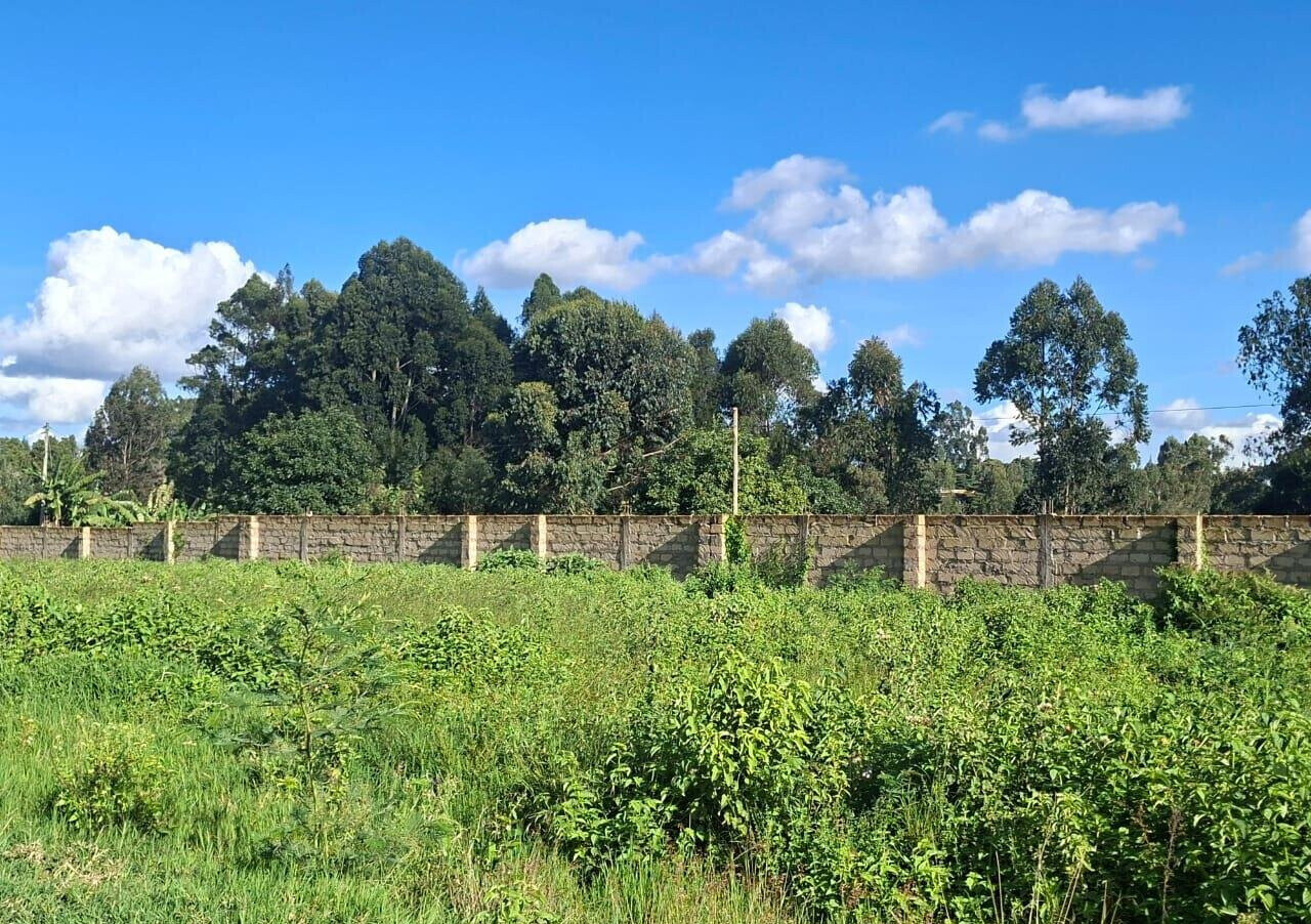 1/8 Acre Garden Plot at KSh 4.5M