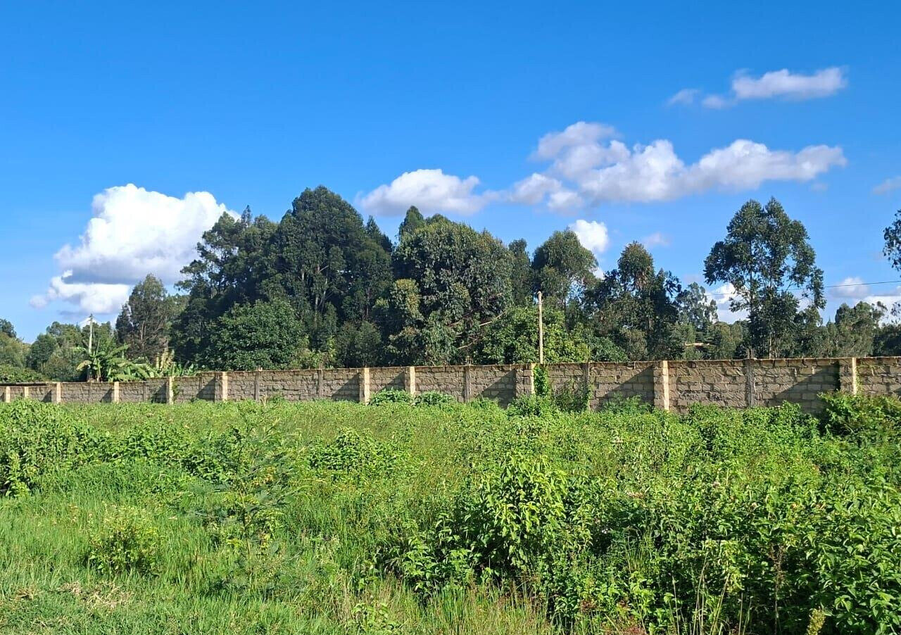 1/8 Acre Garden Plot at KSh 4.5M