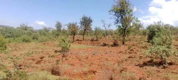 2 Acres for Sale in Ngong Kimuka, 150 Metres From Tarmarc