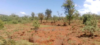 2 Acres for Sale in Ngong Kimuka, 150 Metres From Tarmarc - Image 3