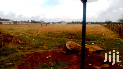 Juja Gachororo Commercial 50 by 100 Plots for Sale - Image 1