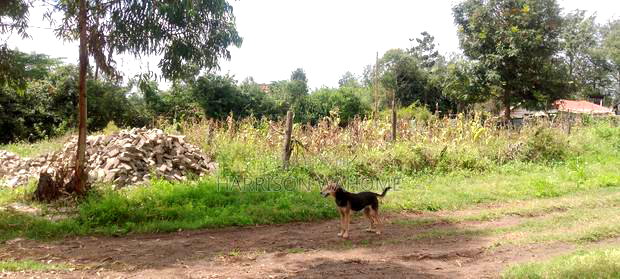 Ngong Zambia Road 50*100 Plot for Sale