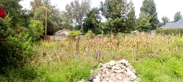 Ngong Zambia Road 50*100 Plot for Sale