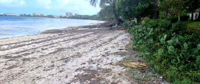 1.8-Acre Beachfront Plot with Garden
