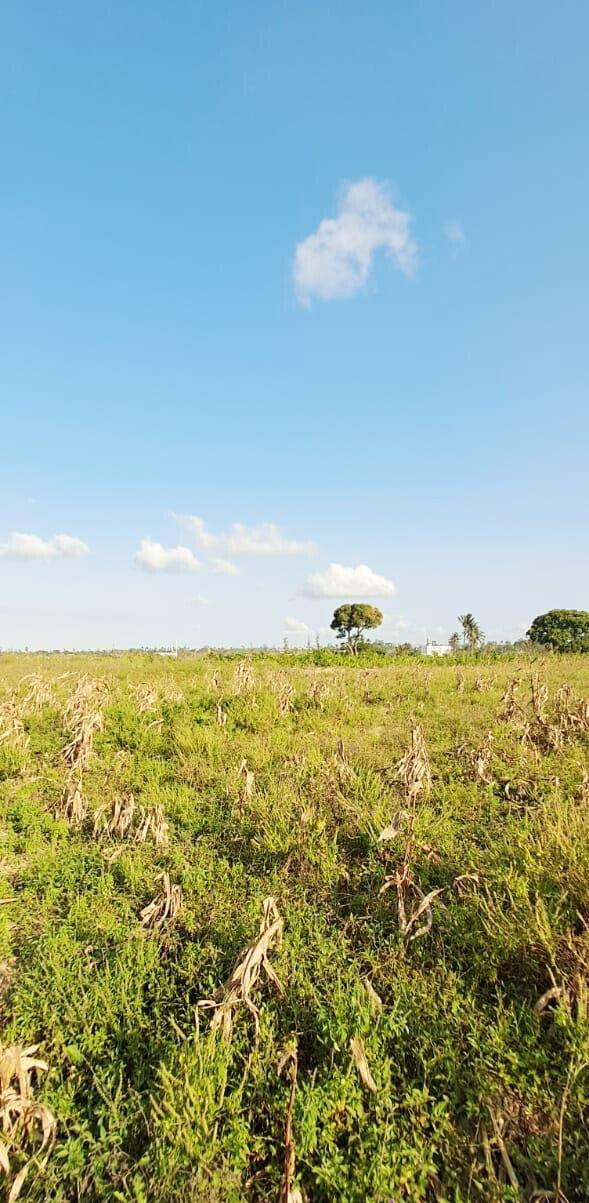 10-Acre Plot at KSh 3.5M