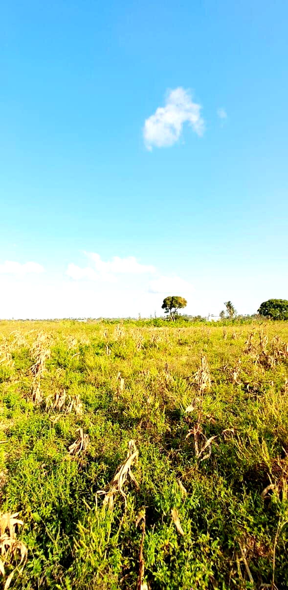 10-Acre Plot at KSh 3.5M