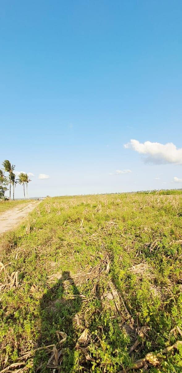10-Acre Plot at KSh 3.5M