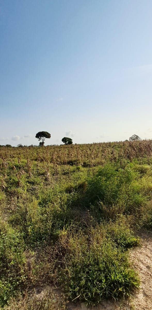 10-Acre Plot at KSh 3.5M