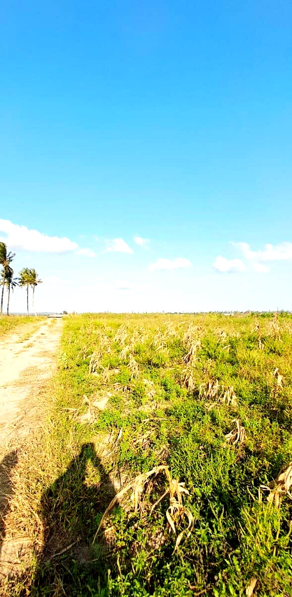 10-Acre Plot at KSh 3.5M