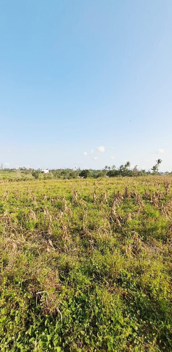 10-Acre Plot at KSh 3.5M