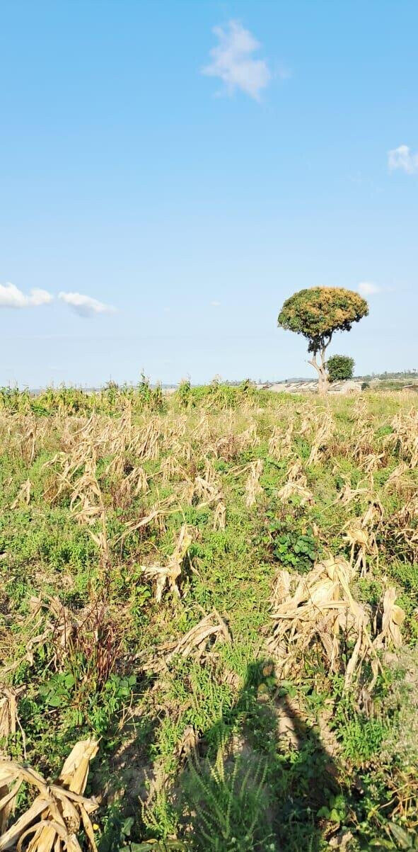 10-Acre Plot at KSh 3.5M