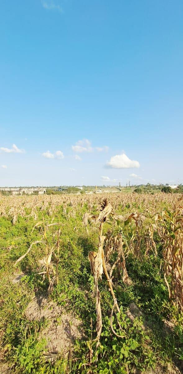 10-Acre Plot at KSh 3.5M