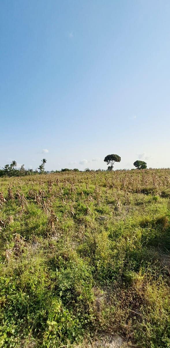 10-Acre Plot at KSh 3.5M