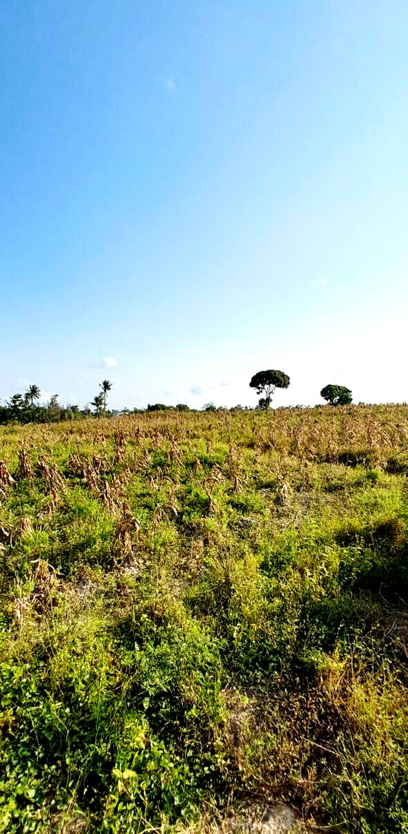 10-Acre Plot at KSh 3.5M