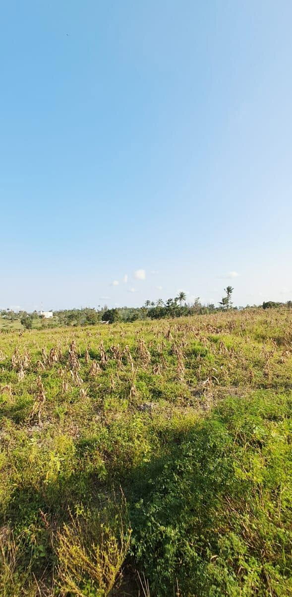10-Acre Plot at KSh 3.5M