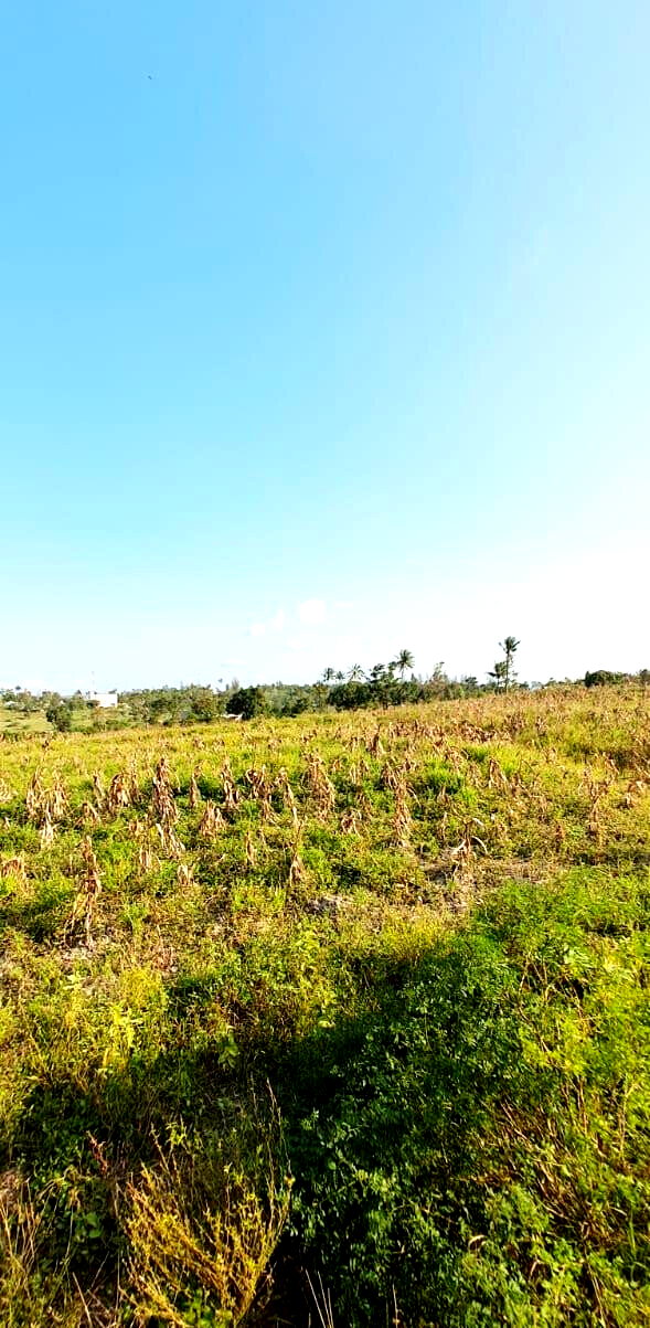 10-Acre Plot at KSh 3.5M