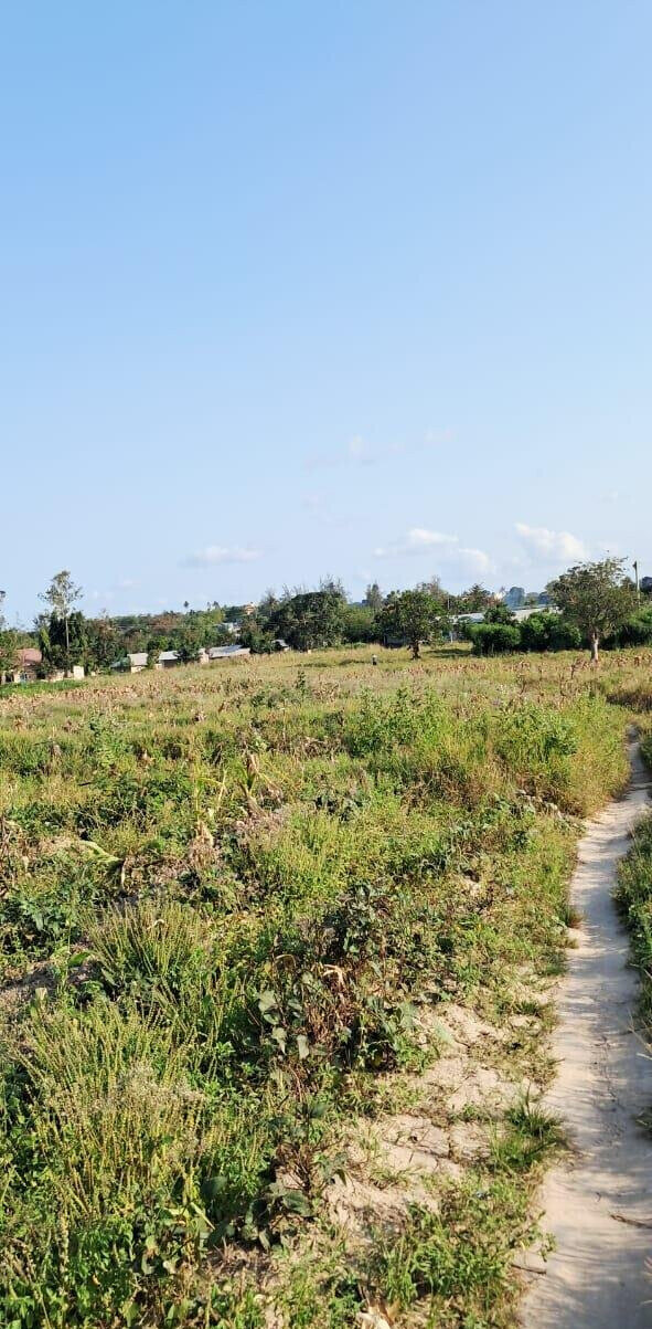 10-Acre Plot at KSh 3.5M