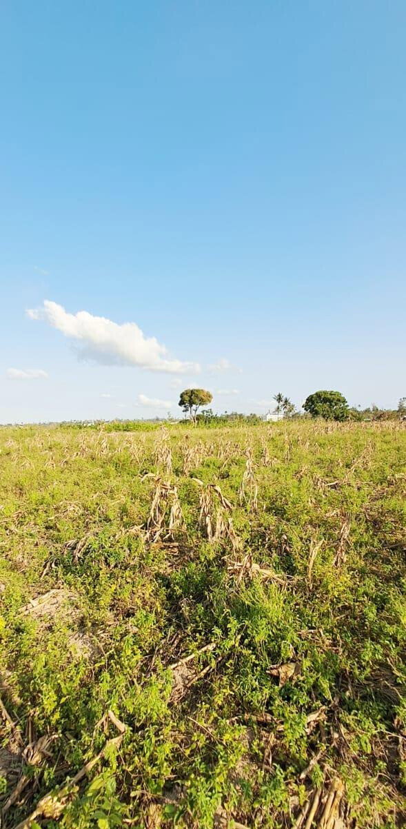 10-Acre Plot at KSh 3.5M