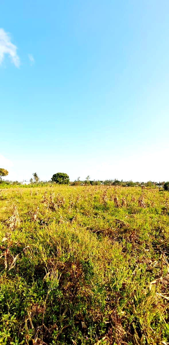 10-Acre Plot at KSh 3.5M