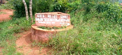 5 Acres Land Treasure in Kwale Only 200 M From Tarmac Road - Image 2