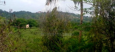5 Acres Land Treasure in Kwale Only 200 M From Tarmac Road - Image 5