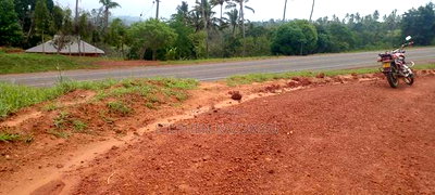 5 Acres Land Treasure in Kwale Only 200 M From Tarmac Road - Image 6