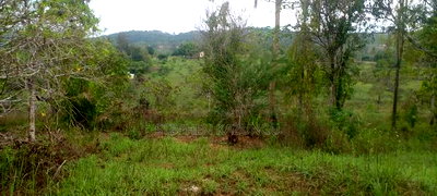 5 Acres Land Treasure in Kwale Only 200 M From Tarmac Road - Image 1