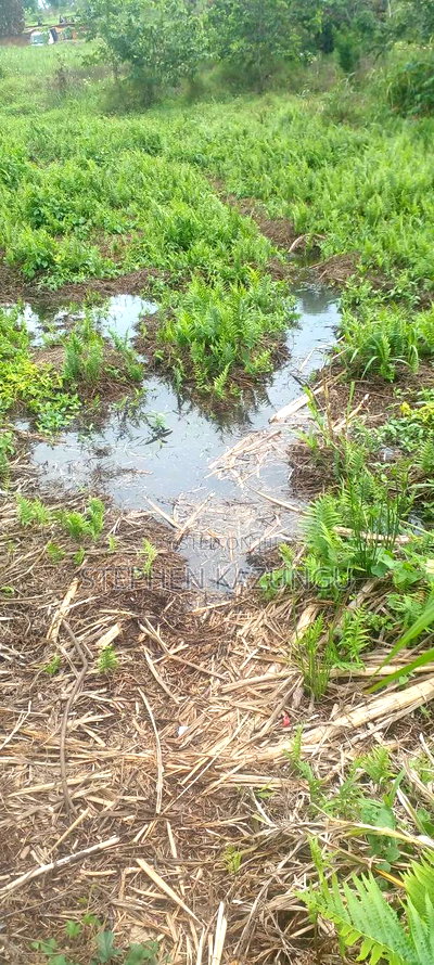 5 Acres Land Treasure in Kwale Only 200 M From Tarmac Road - Image 7