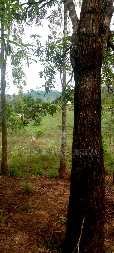 5 Acres Land Treasure in Kwale Only 200 M From Tarmac Road - Image 3