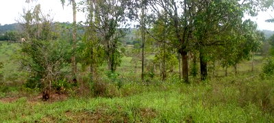 5 Acres Land Treasure in Kwale Only 200 M From Tarmac Road - Image 4