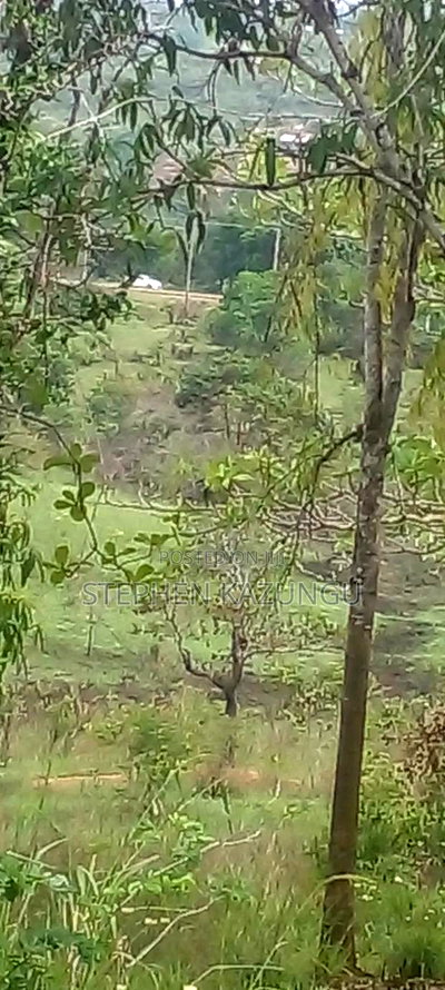 5 Acres Land Treasure in Kwale Only 200 M From Tarmac Road - Image 9