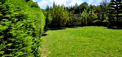 5bedroom Mansion for Sale in Elgonview Eldoret - Image 9