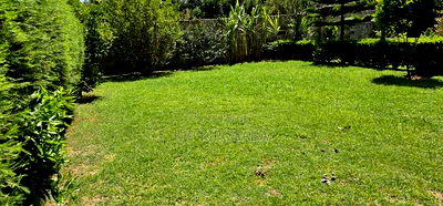 5bedroom Mansion for Sale in Elgonview Eldoret - Image 14