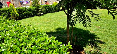 5bedroom Mansion for Sale in Elgonview Eldoret - Image 6