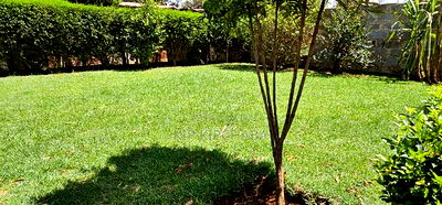 5bedroom Mansion for Sale in Elgonview Eldoret - Image 5